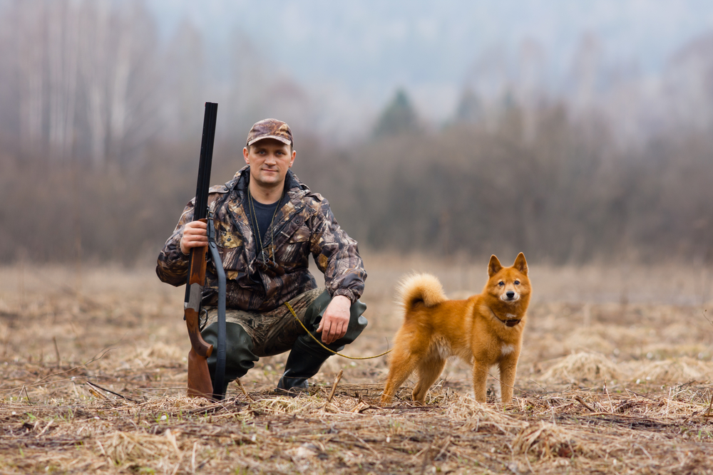 hunting with dog